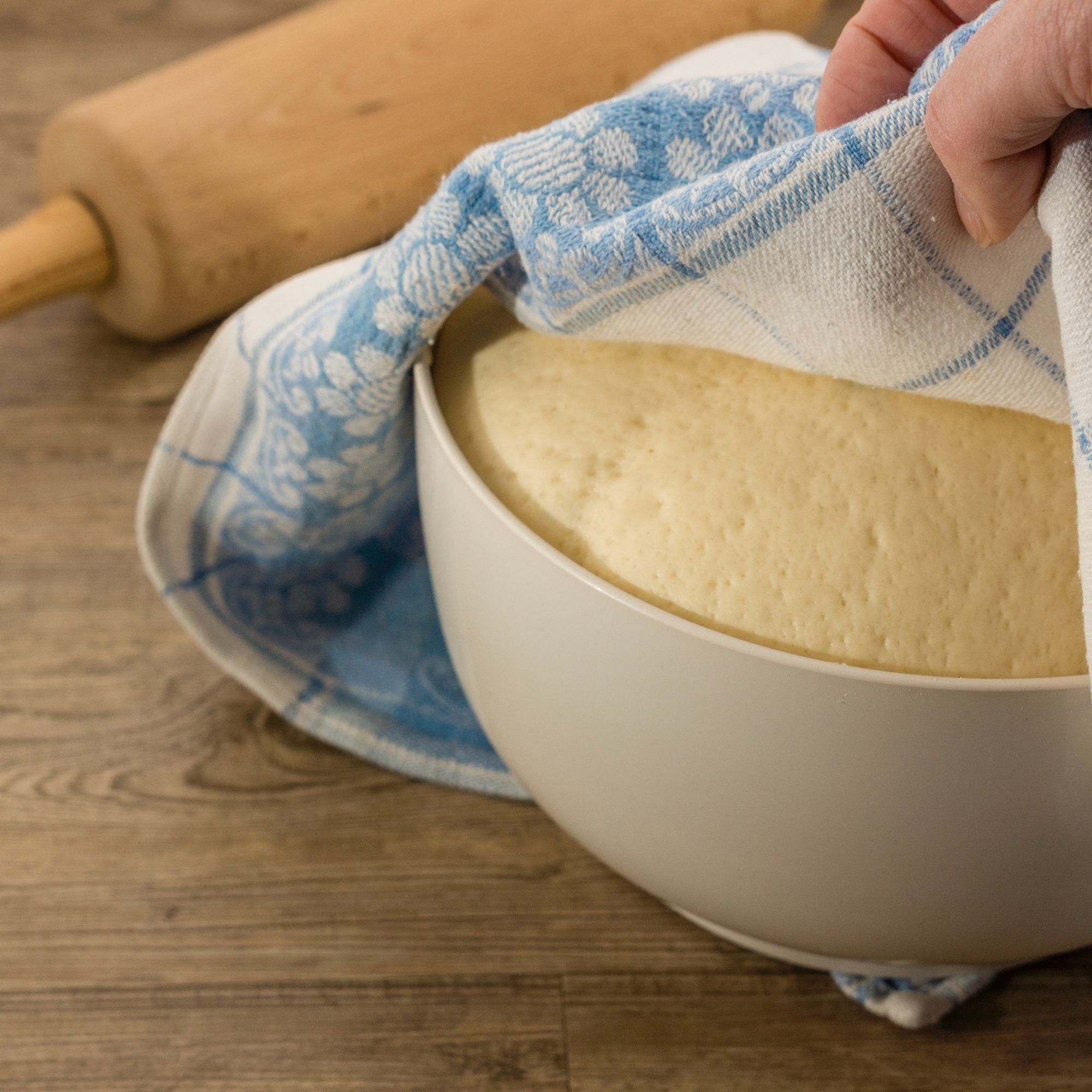 Yaş Mayayı Uzun Süre Saklamanın En Etkin Yolları