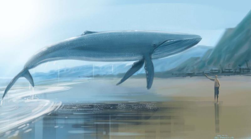 Korkunç oyun : Mavi balina