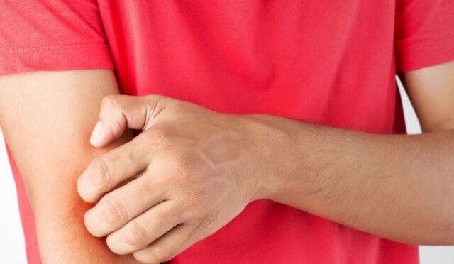 17407618131400350590