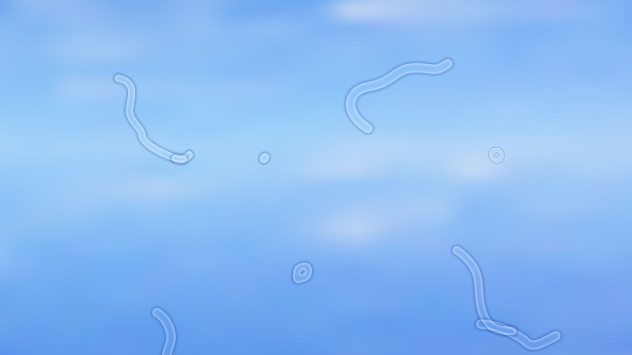 Gözümüzün Önünde Uçuşan Şekiller Neden Oluyor?