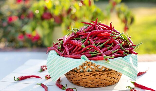 17410856941424587248