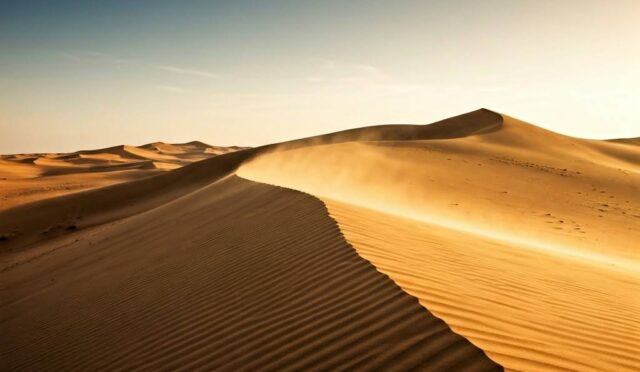 Çöl Tozunun Yararları Nelerdir?