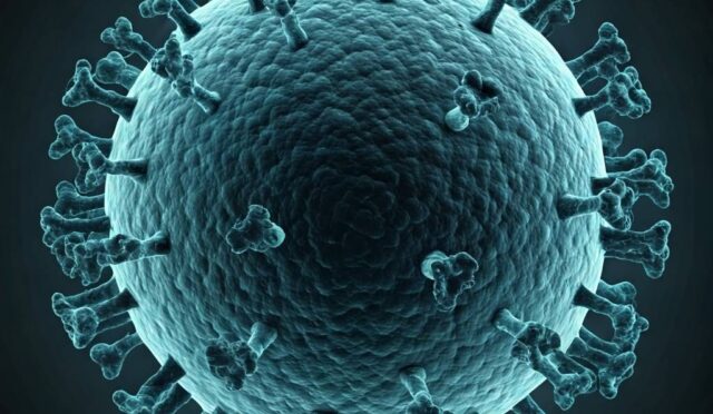 17411142801820745207