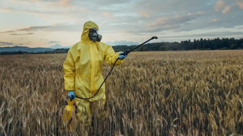 Geri Dönen Pestisitli Ürünler: Avrupa Yemiyor, Biz mi Yiyoruz?