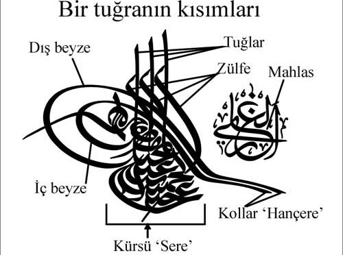 17417731841423942390