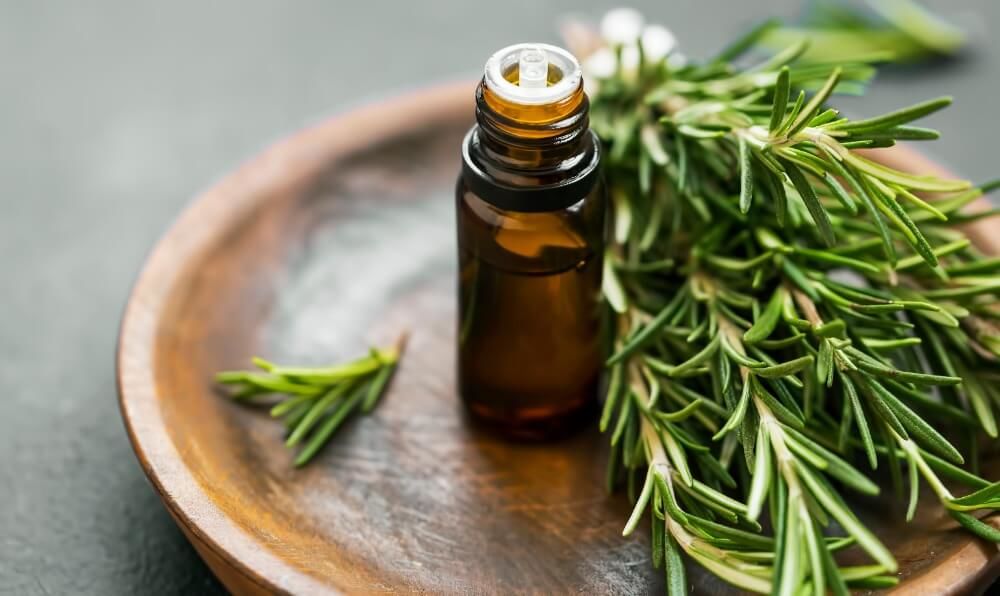 Biberiye Yağının Faydaları Nelerdir?