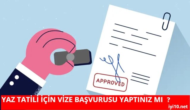 Türkiye’deki Online Vize Başvurusu Yapılabilecek Konsolosluklar ve Başvuru Linkleri 2025